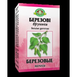 Березовые Почки