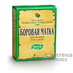 Боровая Матка