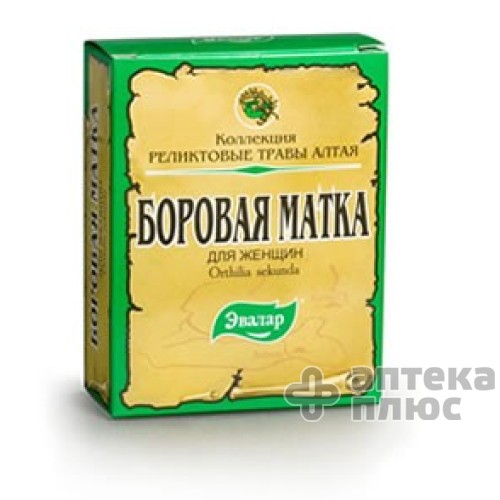 Борова матка 30 г пачка Борова матка 30 г пачка