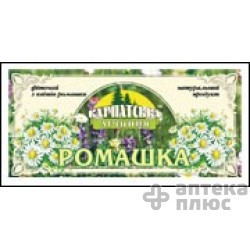 Ромашки Цветки