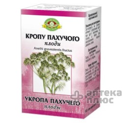 Укропа Пахучего Плоды