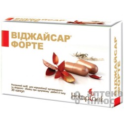 Виджайсар Форте