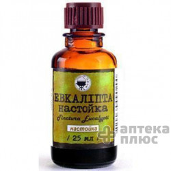 Эвкалипта Настойка настойка 25 мл флакон №1
