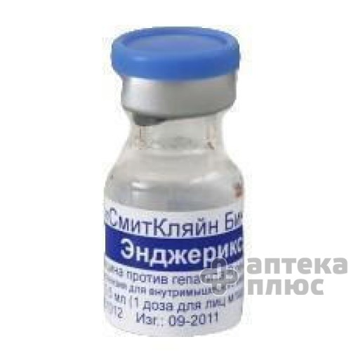 Энджерикс сусп. д/ин. 10 мкг шприц 0,5 мл Энджерикс сусп. д/ин. 10 мкг шприц 0,5 мл