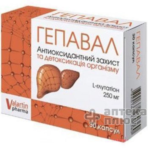 Гепавал капсулы 250 мг №30 Гепавал капсулы 250 мг №30