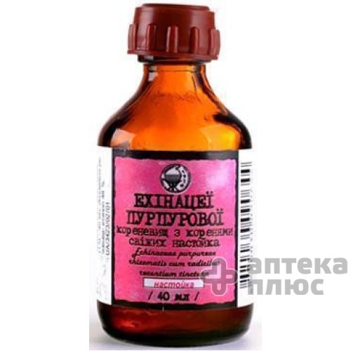Ехінацеї настойка настоянка 40 мл флакон