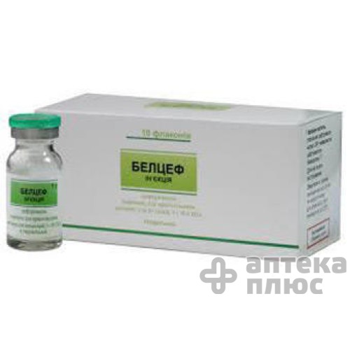 Белцеф порошок для інєкцій 1000 мг флакон №10