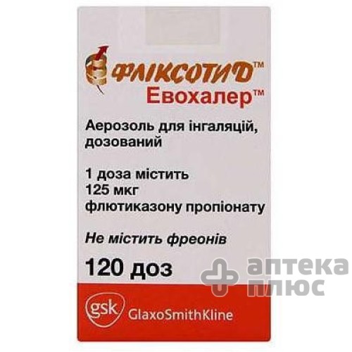 Фликсотид Эвохалер аэр. 125 мкг/доза 120 доз №1