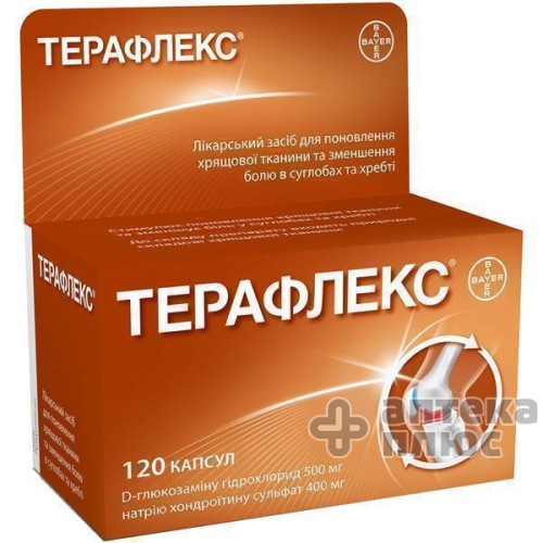 Терафлекс капсулы №120